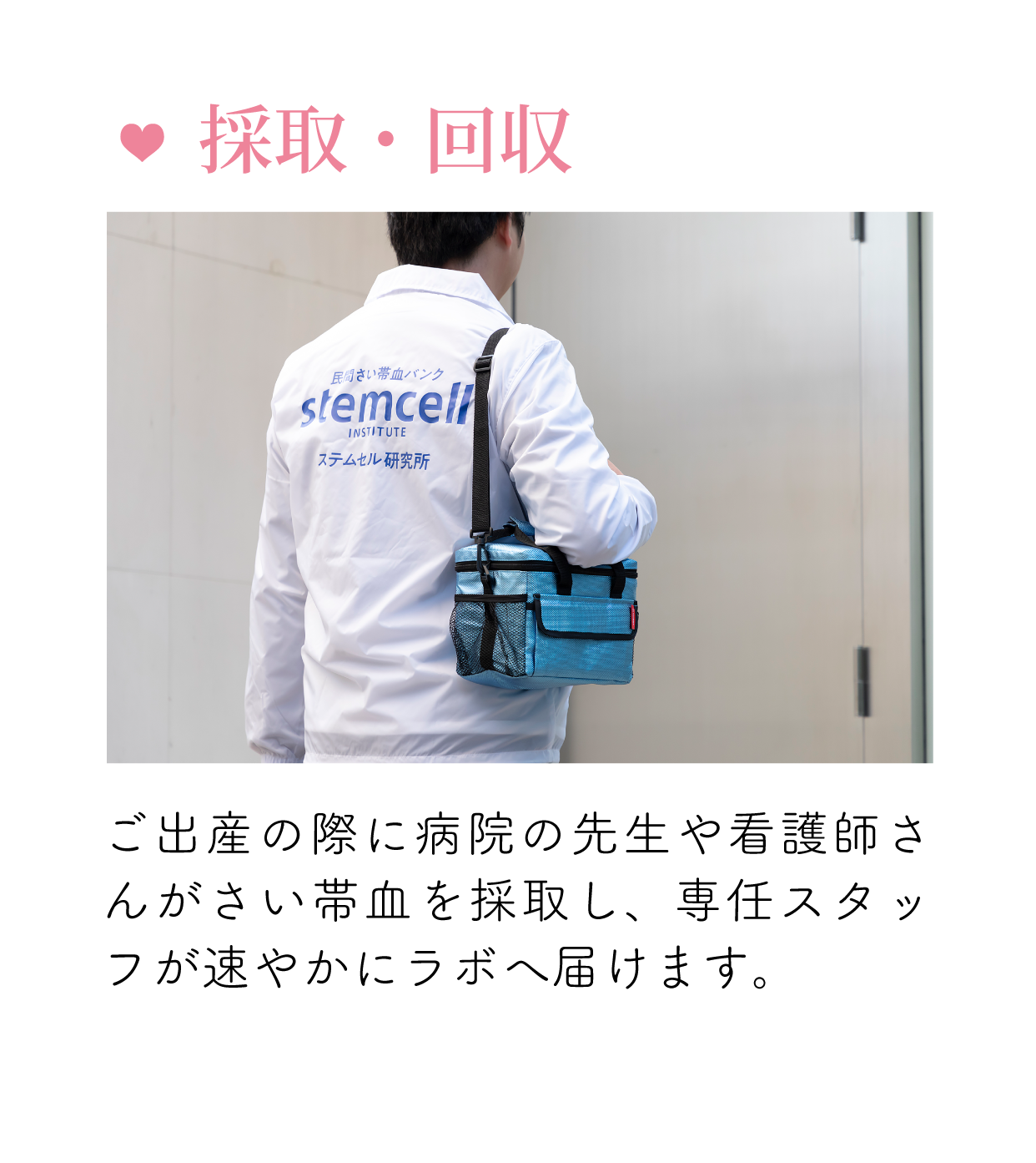 「採取・回収」ご出産の際に病院の先生や看護婦さんがさい帯血を採取し、専任スタッフが速やかにラボに届けます。