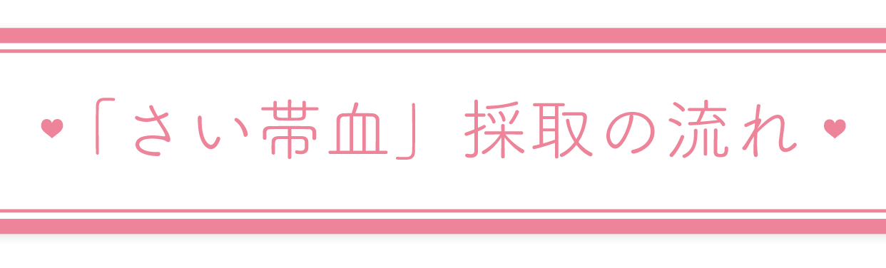 「さい帯血」採取の流れ