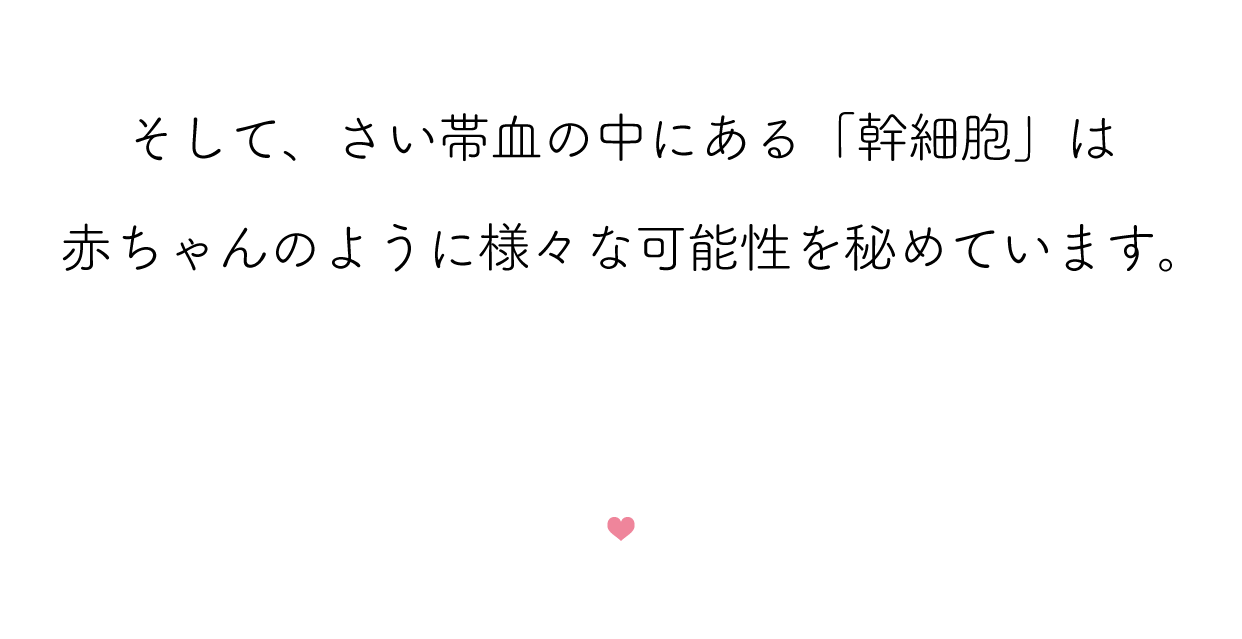 そして、さい帯血の中にある「幹細胞」は赤ちゃんのように様々な可能性を秘めています。