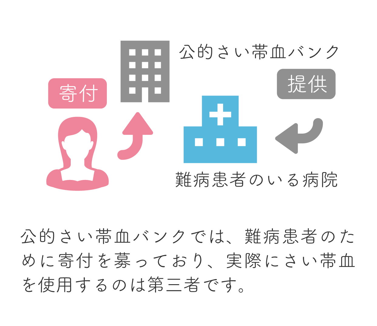 公的さい帯血バンクでは難病患者のために寄付を募っており、実際にさい帯血を使用するのは第三者です。