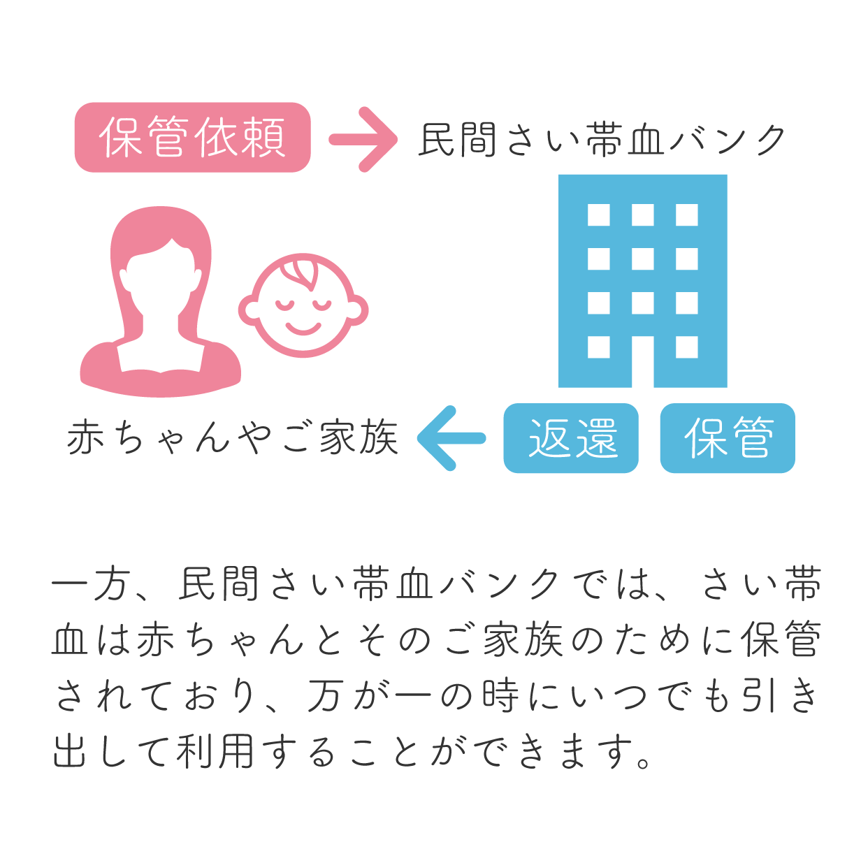 一方、民間さい帯血バンクでは、さい帯血は赤ちゃんとそのご家族のために保管されており、万が一の時にいつでも引き出して利用することができます。