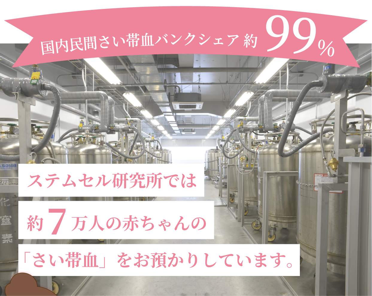 民間さい帯血バンクシェア約99％ ステムセル研究所では約5.5万人の赤ちゃんの「さい帯血」をお預かりしてます。